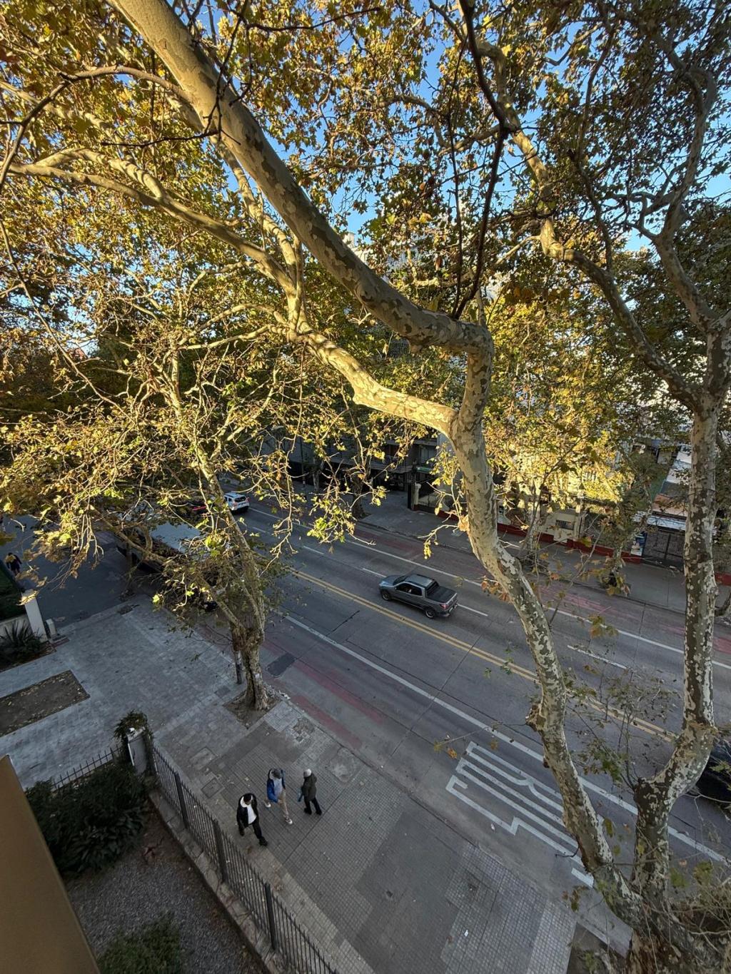 Alquiler monoambiente al frente y con balcón en La Blanqueada.