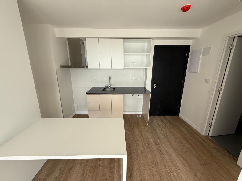 Alquiler apartamento 1 domitorio en centro, piso alto y vista despejada.