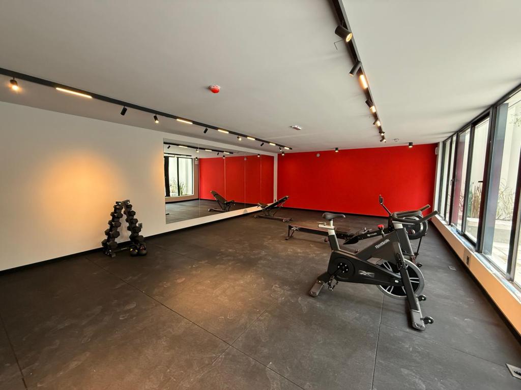 Alquiler apartamento 1 domitorio en centro, piso alto y vista despejada.