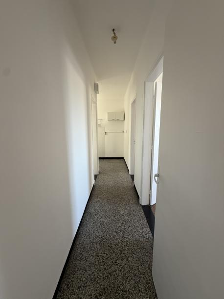 FRANCISCO LLAMBÍ PROX AV. RIVERA - 2 DORM - 1º POR ESCALERA-3
