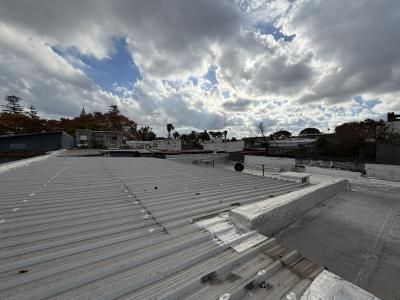 SAN MARTIN Y C. REYLES - 600M2 CONSTRUIDOS - ENTRADA CAMIONES