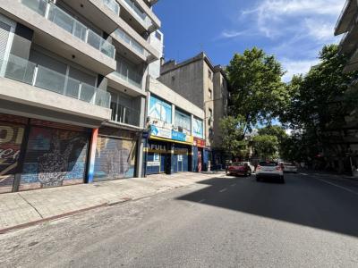COLONIA Y PAULLIER - PARKING Y LOCAL COMERCIAL - SUP TERRENO 481M2