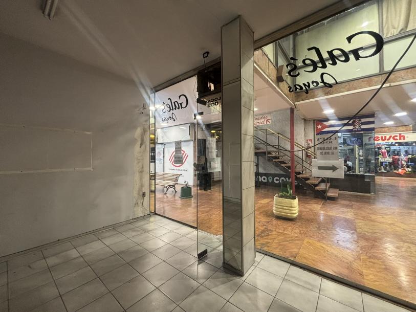GALERIA DE LAS AMERICAS - 18 DE JULIO Y CARLOS QUIJANO-4