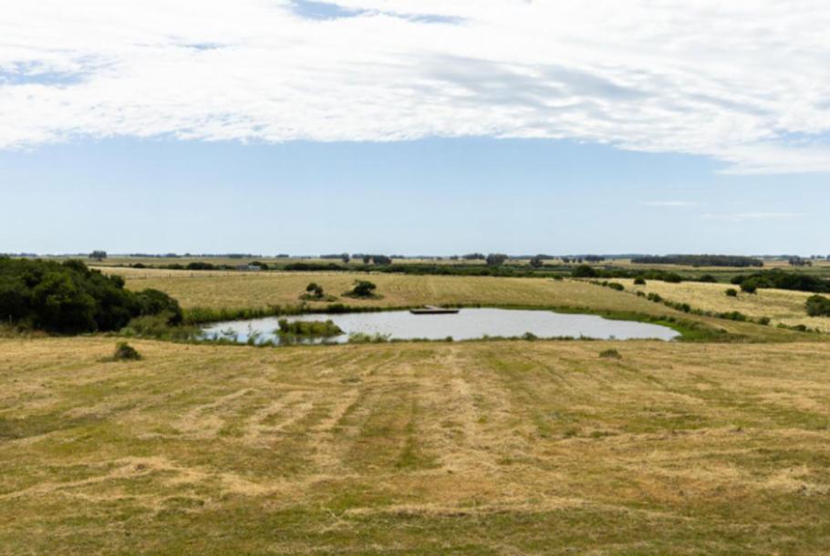 Venta espectacular chacra en Laguna Garzón-20
