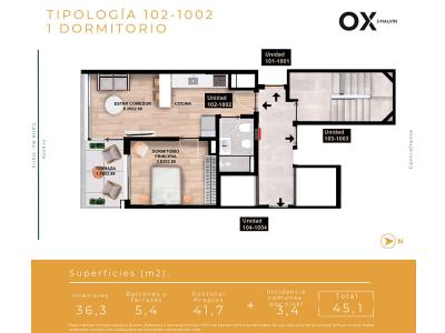 OX Malvín – Estilo de vida contemporáneo