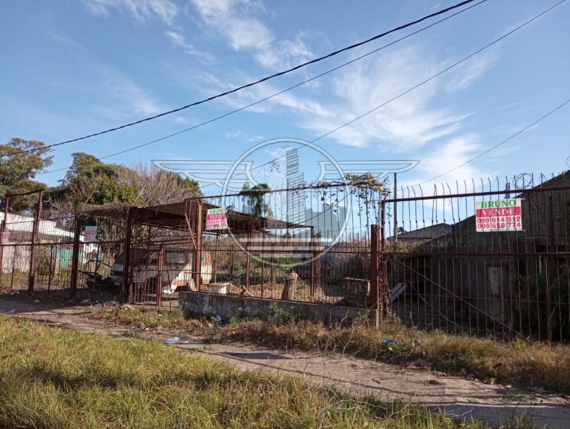 SE VENDE GRAN TERRENO - FLOR DE MAROÑAS-1