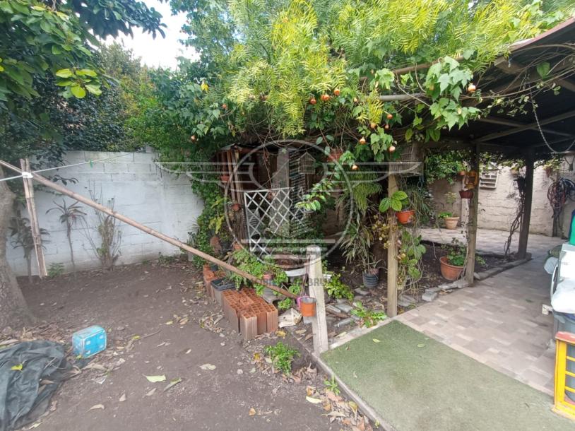 SE VENDE 2 PROPIEDADES EN UN MISMO PADRÒN-3