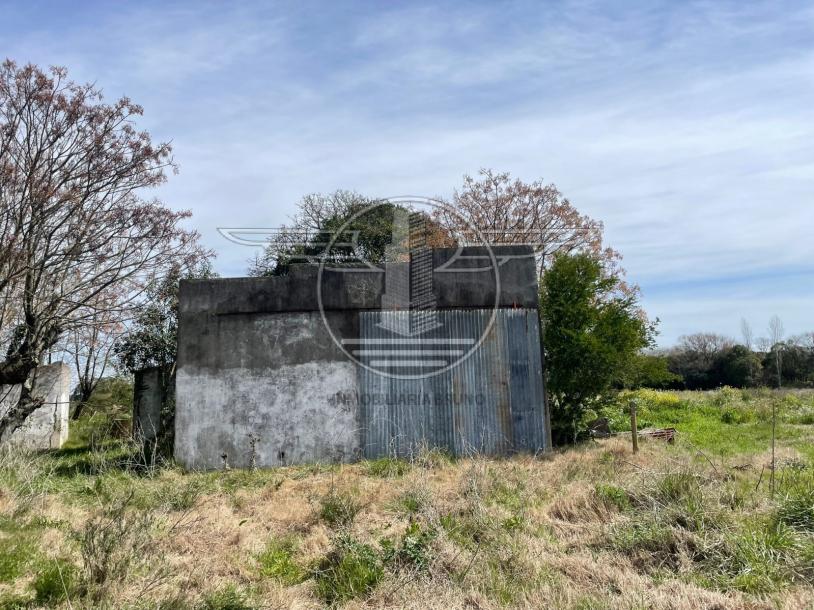 SE VENDE CAMPO EN CANELON CHICO 37 HECTAREAS!-16