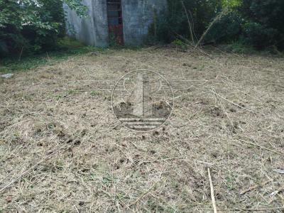 SE VENDE CAMPO EN CANELON CHICO 37 HECTAREAS!