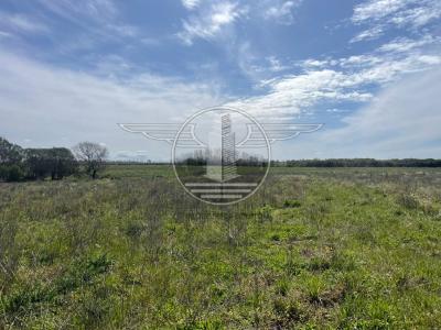 SE VENDE CAMPO EN CANELON CHICO 37 HECTAREAS!