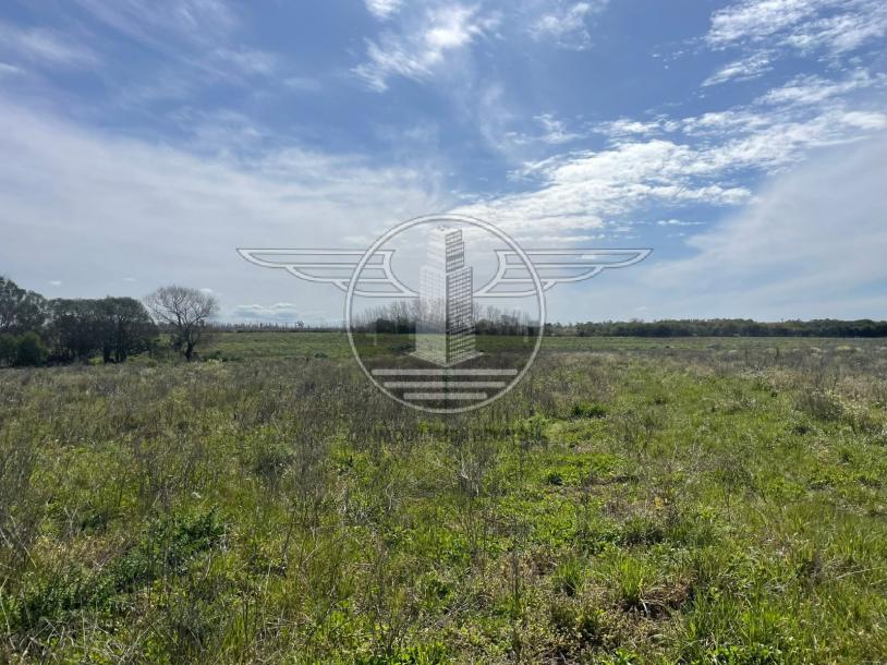 SE VENDE CAMPO EN CANELON CHICO 37 HECTAREAS!-14