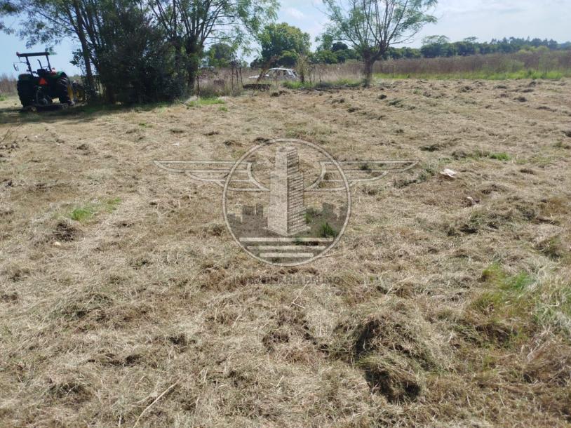 SE VENDE CAMPO EN CANELON CHICO 37 HECTAREAS!-13