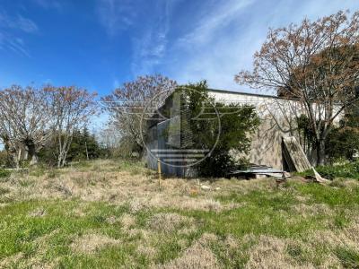 SE VENDE CAMPO EN CANELON CHICO 37 HECTAREAS!