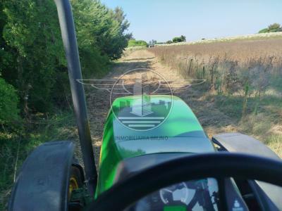 SE VENDE CAMPO EN CANELON CHICO 37 HECTAREAS!