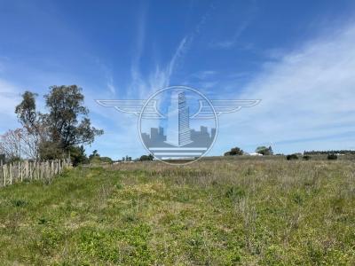 SE VENDE CAMPO EN CANELON CHICO 37 HECTAREAS!