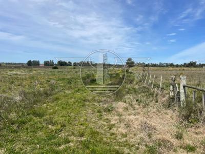 SE VENDE CAMPO EN CANELON CHICO 37 HECTAREAS!