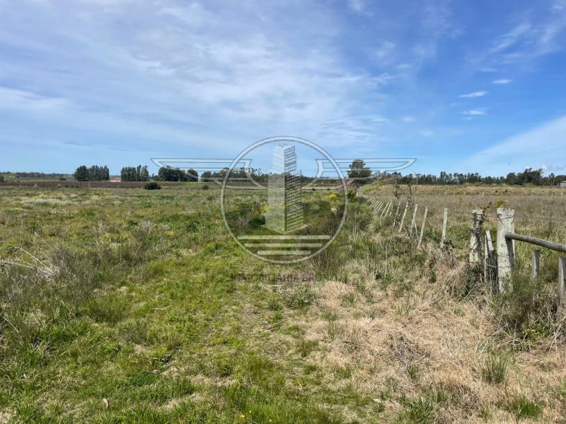 SE VENDE CAMPO EN CANELON CHICO 37 HECTAREAS!-7