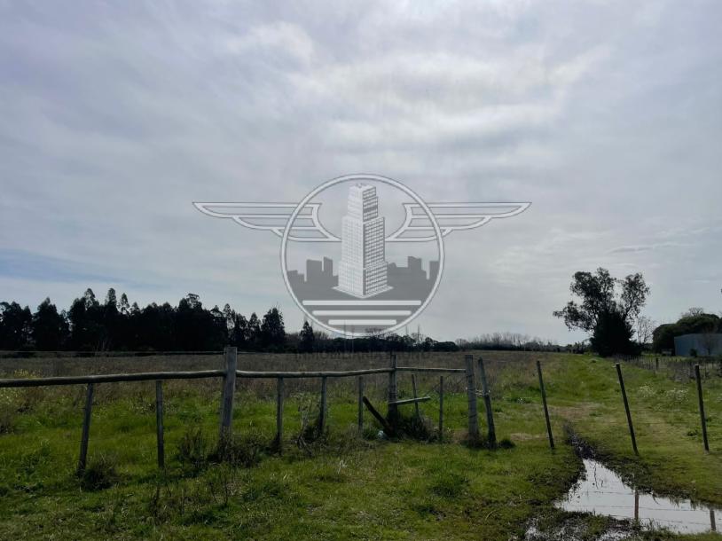 SE VENDE CAMPO EN CANELON CHICO 37 HECTAREAS!-6
