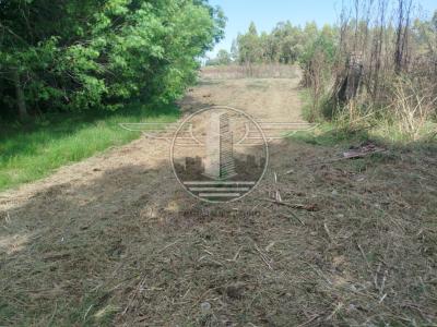 SE VENDE CAMPO EN CANELON CHICO 37 HECTAREAS!