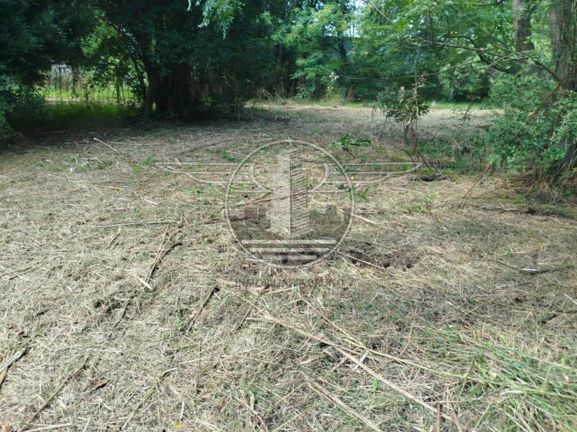 SE VENDE CAMPO EN CANELON CHICO 37 HECTAREAS!-4