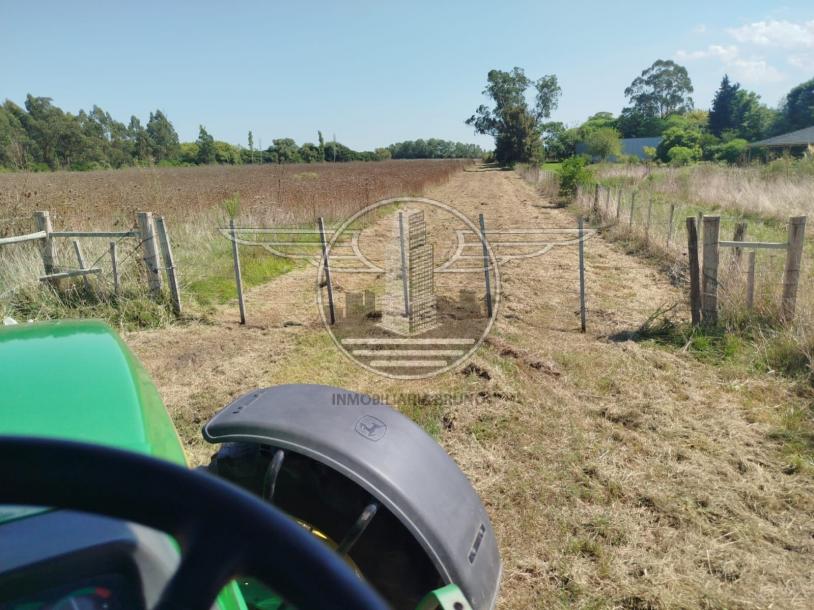 SE VENDE CAMPO EN CANELON CHICO 37 HECTAREAS!-3