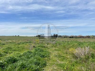 SE VENDE CAMPO EN CANELON CHICO 37 HECTAREAS!