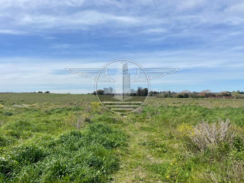 SE VENDE CAMPO EN CANELON CHICO 37 HECTAREAS!-1