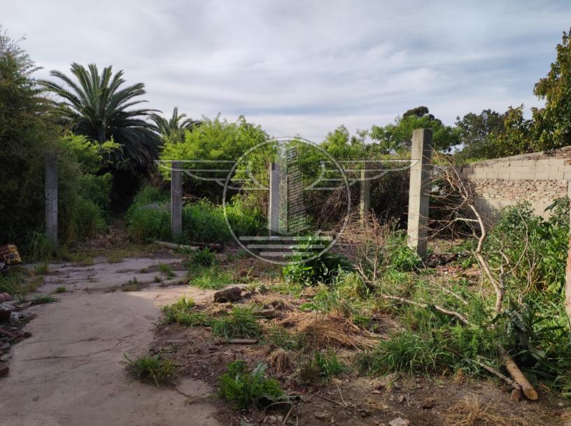 SE VENDE TERRENO CON MEJORAS EN FLOR DE MAROÑAS-26
