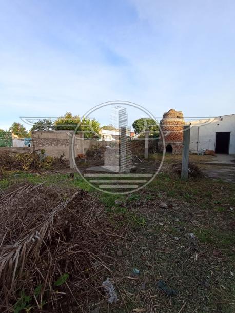 SE VENDE TERRENO CON MEJORAS EN FLOR DE MAROÑAS-23