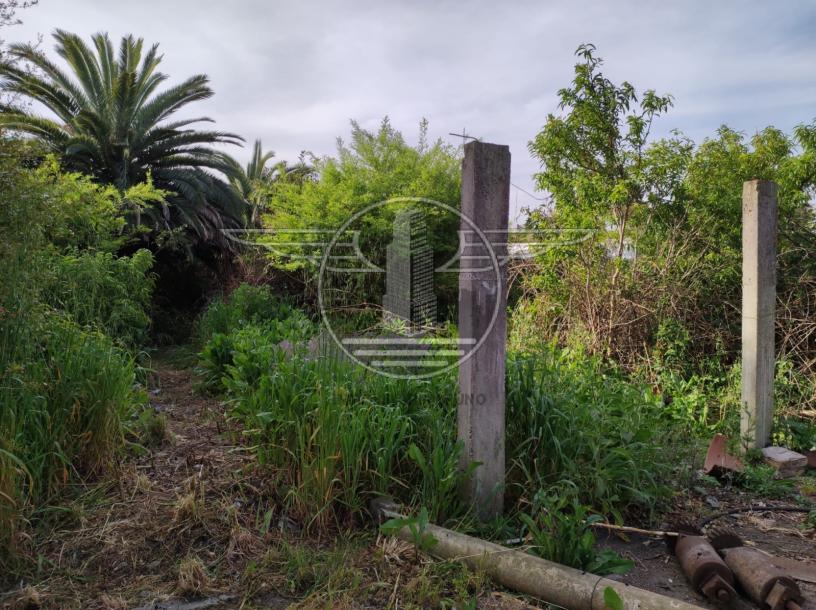 SE VENDE TERRENO CON MEJORAS EN FLOR DE MAROÑAS-19