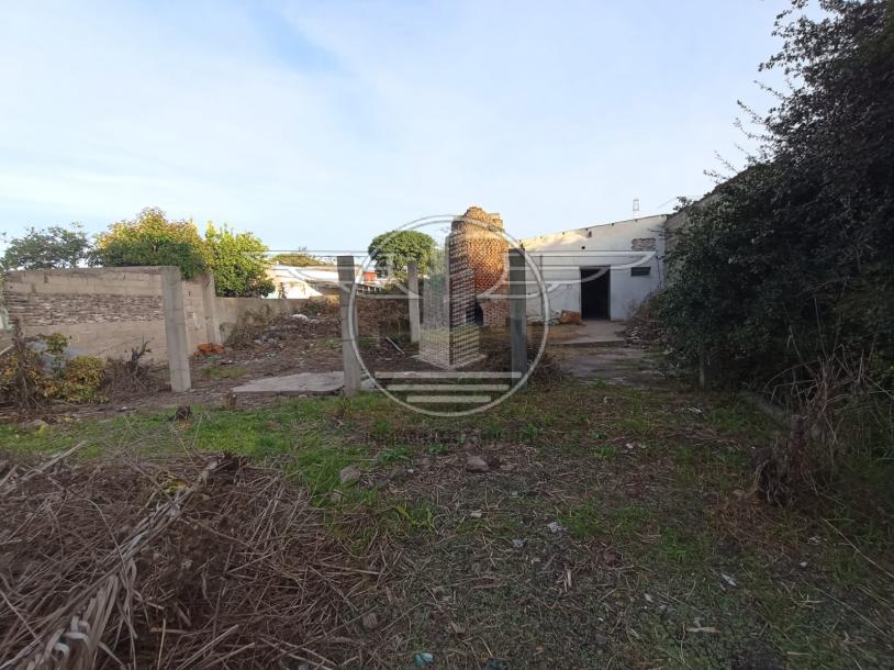 SE VENDE TERRENO CON MEJORAS EN FLOR DE MAROÑAS-6