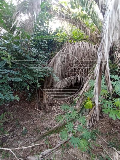 SE VENDE TERRENO CON MEJORAS EN FLOR DE MAROÑAS