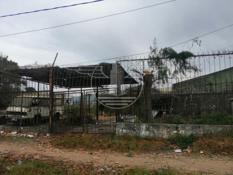 GRAN TERRENO A LA VENTA EN CAMINO MALDONADO-11