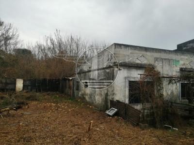 GRAN TERRENO A LA VENTA EN CAMINO MALDONADO