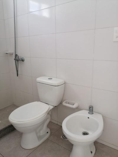 SE ALQUILA APARTAMENTO DE UNA HABITACION - MALVIN
