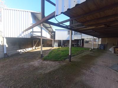 ¡OPORTUNIDAD ÚNICA EN EL BARRIO BUCEO!