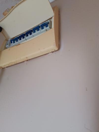 SE VENDE APARTAMENTO 2 DORMITORIOS - FLOR DE MAROÑAS . OPORTUNIDAD UNICA!