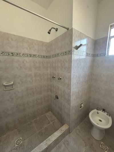 SE ALQUILA APARTAMENTO DE UNA HABITACION - CENTRO