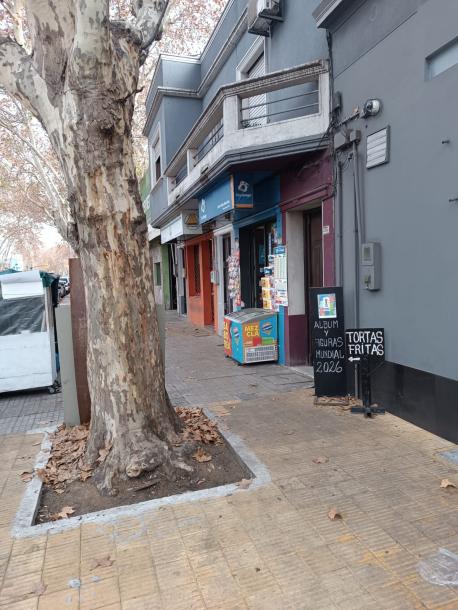 SE VENDE LOCAL COMERCIAL - REDUCTO-4