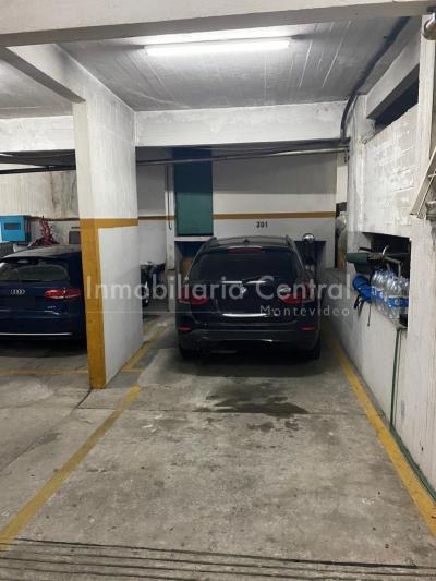 Gran planta sobre avenida a metros del Puertito del Buceo - OPORTUNIDAD -