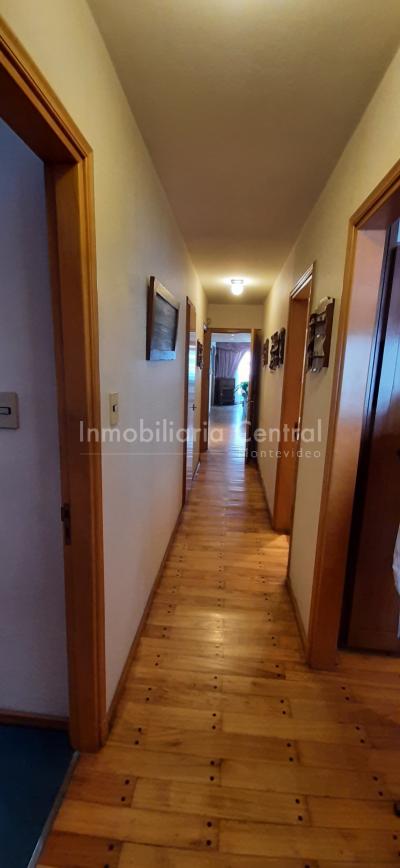 Gran planta sobre avenida a metros del Puertito del Buceo - OPORTUNIDAD -