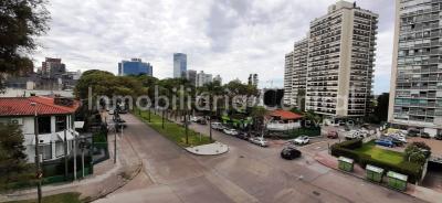 Gran planta sobre avenida a metros del Puertito del Buceo - OPORTUNIDAD -