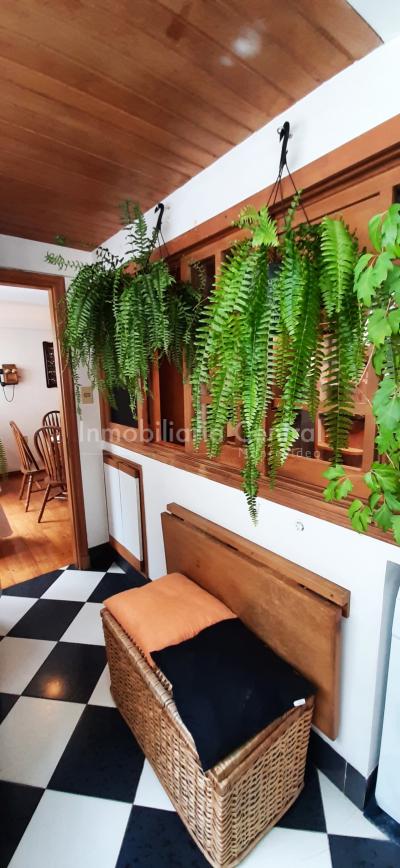 Gran planta sobre avenida a metros del Puertito del Buceo - OPORTUNIDAD -