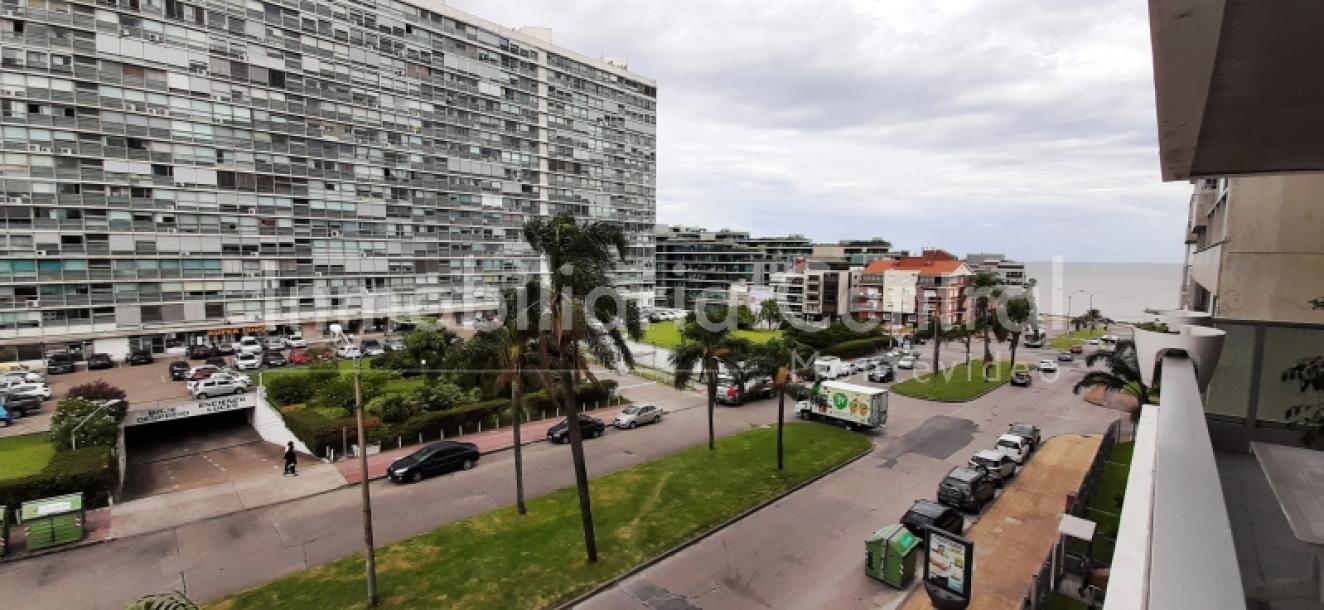 Gran planta sobre avenida a metros del Puertito del Buceo - OPORTUNIDAD --19