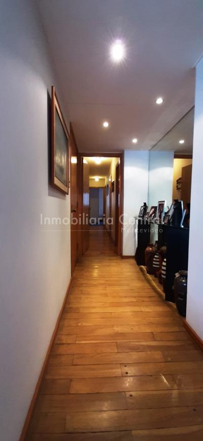 Gran planta sobre avenida a metros del Puertito del Buceo - OPORTUNIDAD -