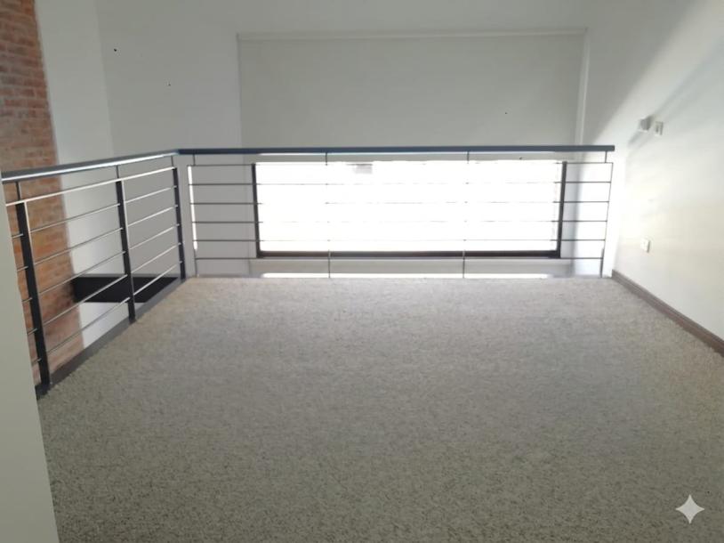 Alquiler Loft Buceo Diamantis-12