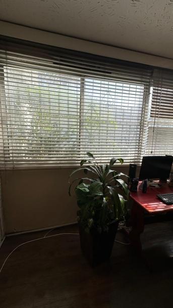 Oportunidad Pocitos, 2 dorm, cooperativa de uso y goce-6