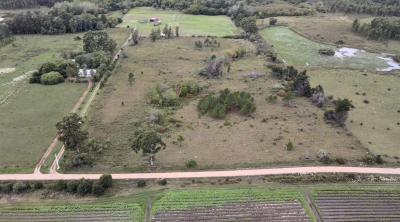 EN VENTA  5 HECTÁREAS EN CASARINO - CANELONES-