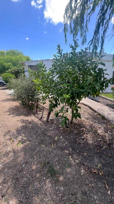 Alquiler 2 dormitorios  en Toledo