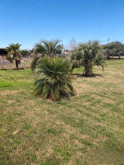 Venta casa en Colonia del Sacramento
